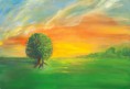 /album/baume/baum-9-von-17-jpg/